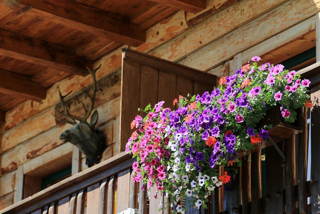 Apartmán Gloesalm Ramsau am Dachstein Exteriér fotografie