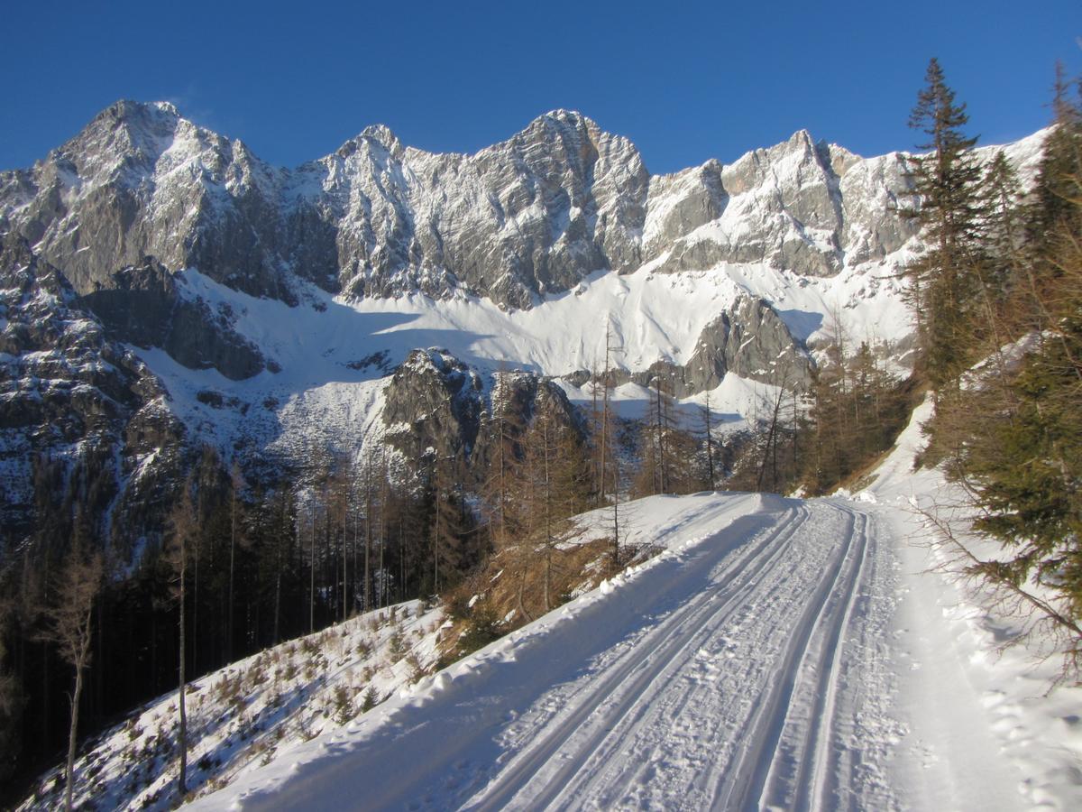 Apartmán Gloesalm Ramsau am Dachstein Exteriér fotografie