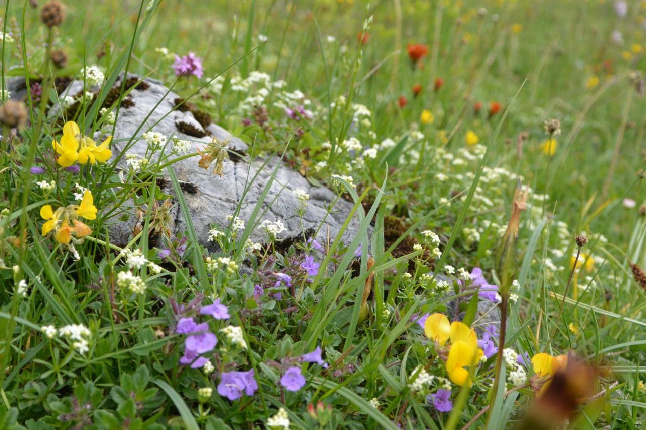 Apartmán Gloesalm Ramsau am Dachstein Exteriér fotografie